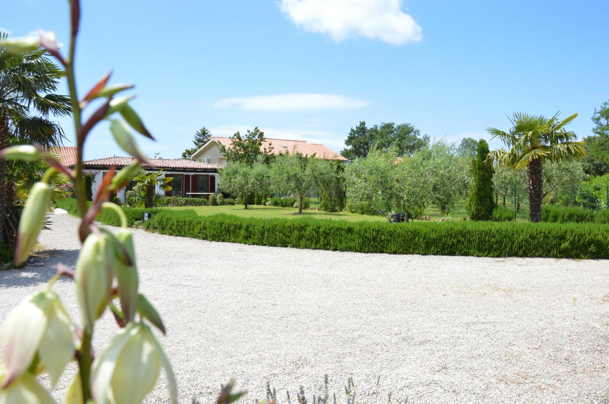 Apartments Aurelia Nova Vas  Dış mekan fotoğraf